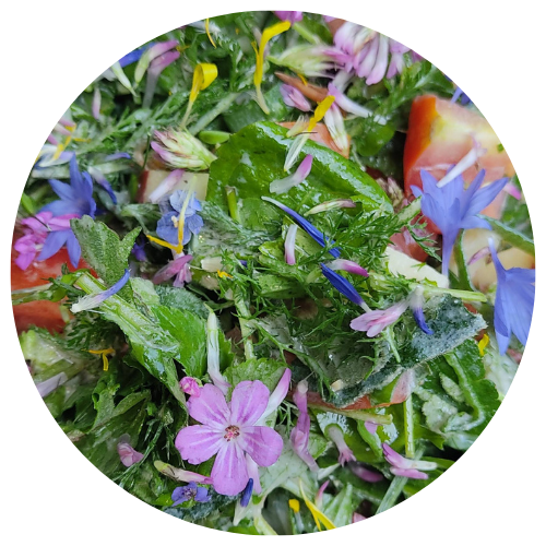 Bunter Salat mit Kräutern und Blüten